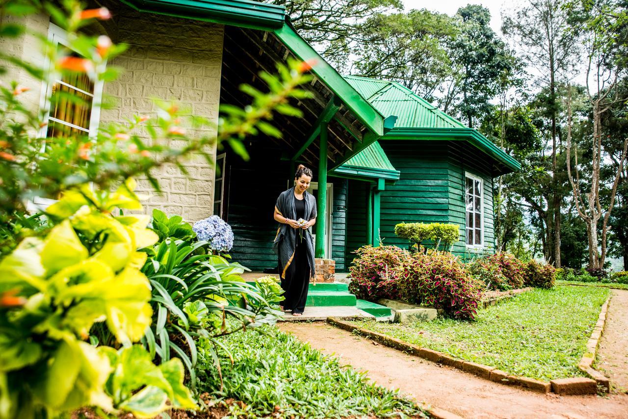 Royal Majesty Bungalow ハットン エクステリア 写真